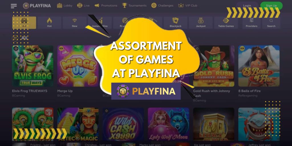 Assortment of Game at Playfina